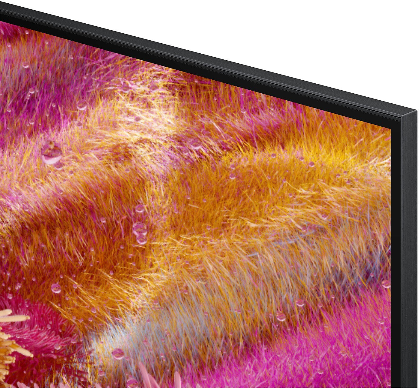 SAMSUNG 115QN90F 115"┃Kalibrace a kontrola panelu v ceně. Dodávka a montáž u zákazníka